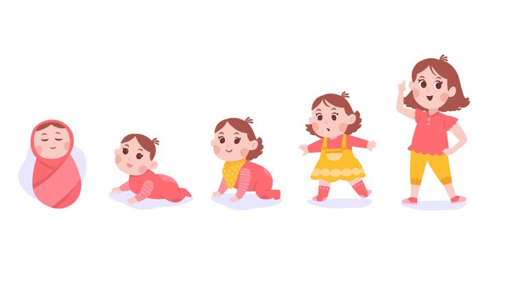 Bir Bebeğin Büyüme Hikayesi…
